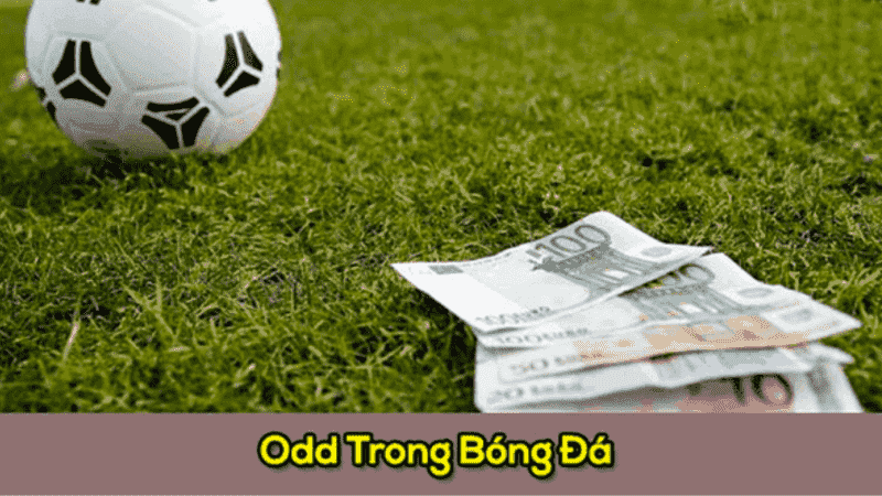 hướng dẫn cách soi cầu odds siêu chuẩn