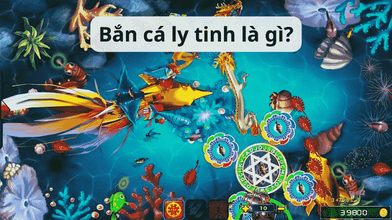 bắn cá ly tinh là gì