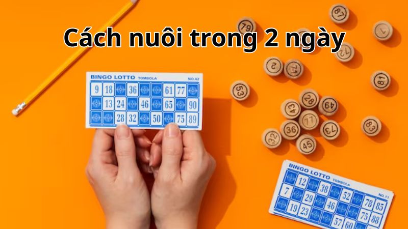 cách nuôi trong 2 ngày