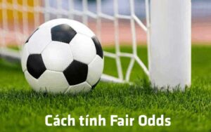 Cách tính fair odds