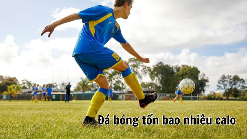 Đá bóng tốn bao nhiêu calo