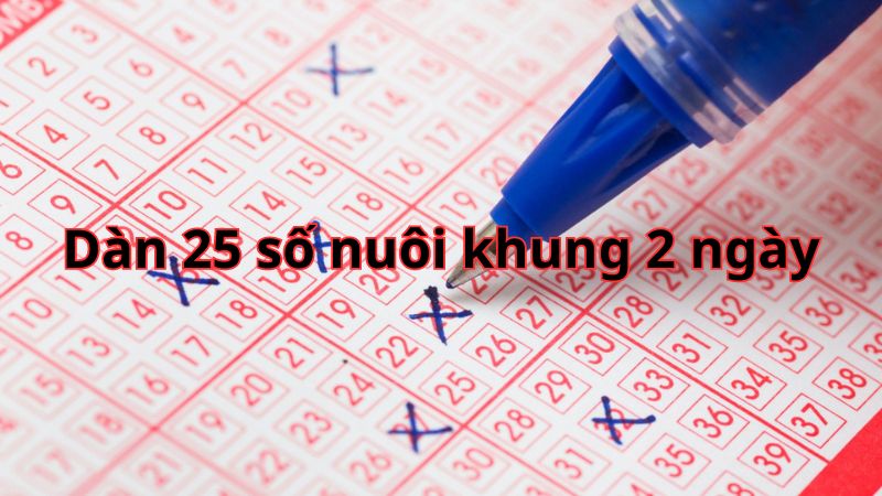 dàn 25 số nuôi khung 2 ngày