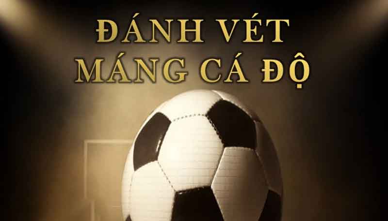 Đánh cược bóng đá theo vét máng