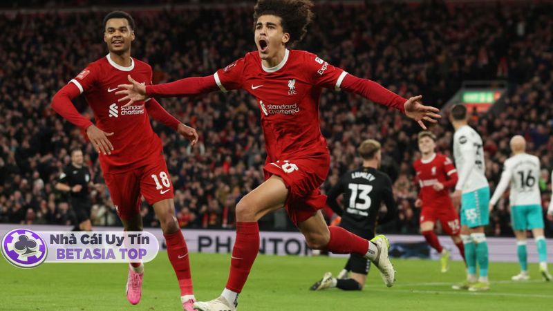 Khép lại trận đấu với chiến thắng thuộc về Liverpool 